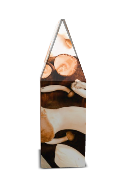Mushroom Coffee (12oz Bag)